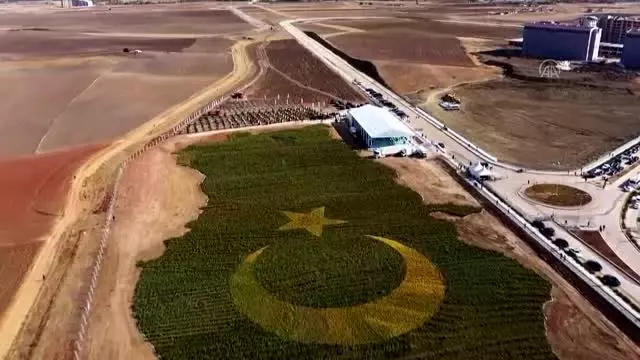 Rekorlar arasına giren bitkili Türkiye haritası uçaklardan da görülebilecek