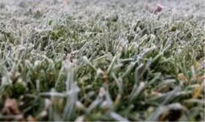 Eski 3 derece soğuğa teslim olan Sivas'ta her yer buz tuttu, sürücüler zor anlar yaşadı Eski 3 derece soğuğa teslim olan Sivas'ta her yer buz tuttu, sürücüler zor anlar yaşadı