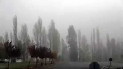 Eksi 3 derece soğuğa teslim olan Sivas'ta her yer buz tuttu, sürücüler zor anlar yaşadı Eksi 3 derece soğuğa teslim olan Sivas'ta her yer buz tuttu, sürücüler zor anlar yaşadı