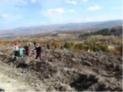 Yanan orman alanı kadın eliyle yeşerecek