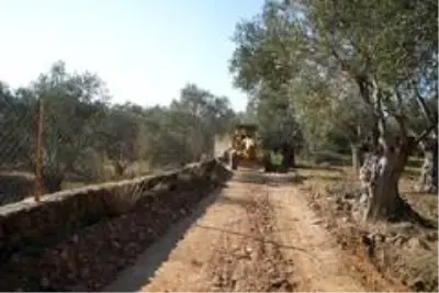 Ayvalık Belediyesi Cunda Adası'nda zeytinlikler arasındaki yollara el attı