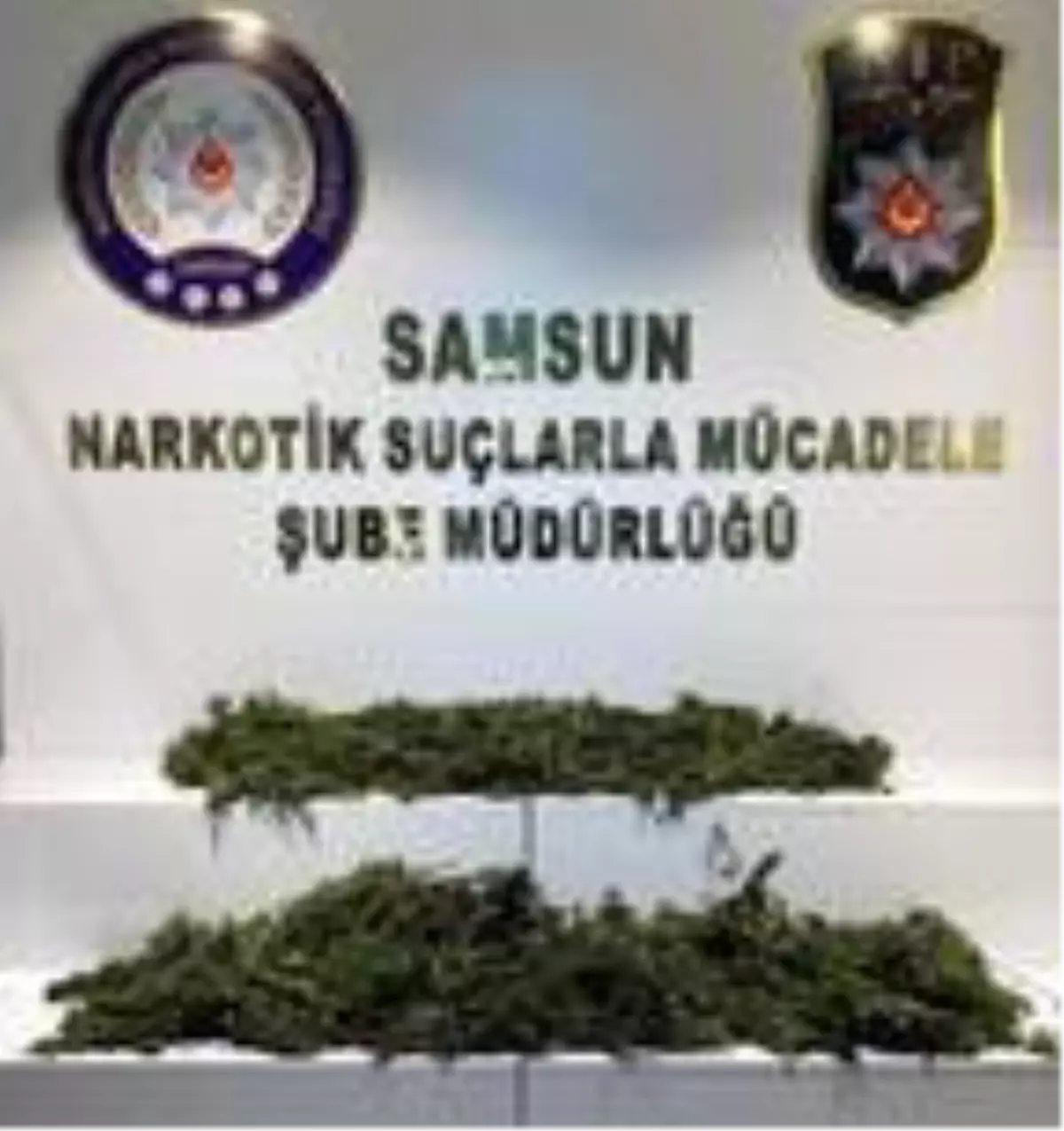 Balkonda esrar kuruturken yakalandı