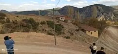 Fıkra gibi olay, telefon telleri direği taşıyor Fıkra gibi olay, telefon telleri direği taşıyor