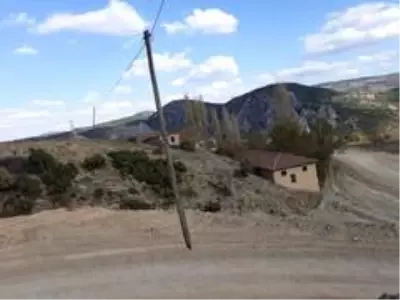 Fıkra gibi olay, telefon telleri direği taşıyor Fıkra gibi olay, telefon telleri direği taşıyor
