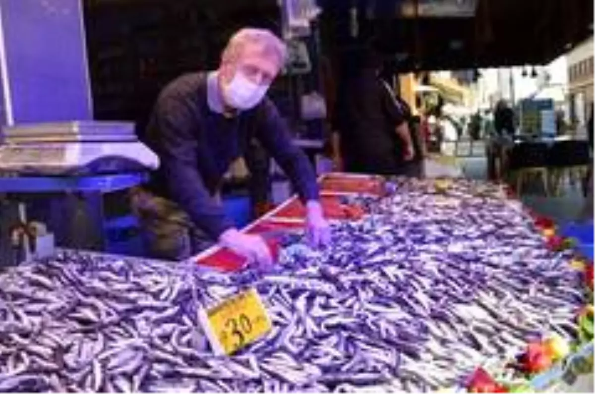 Son dakika haberleri: Hamsi fiyatlarında yükseliş sürüyor