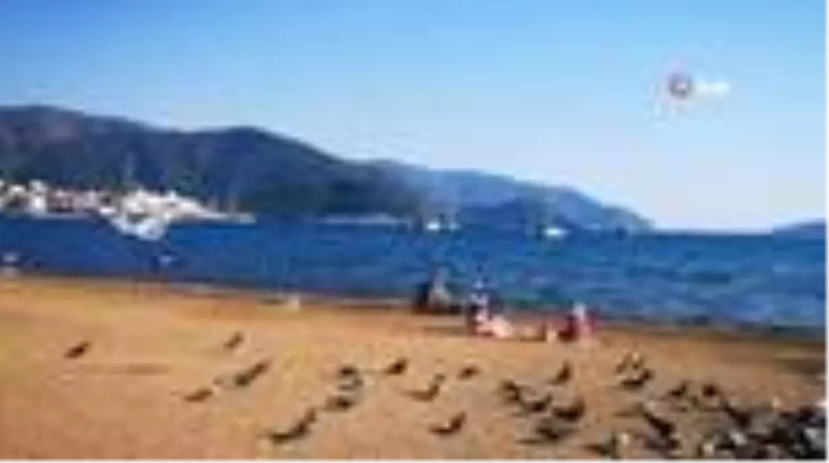 Kasım ayında deniz keyfi...Havlusunu alan plaja koştu