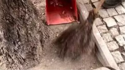 Sigara içme yasağıyla beraber yerlerde izmaritler azaldı