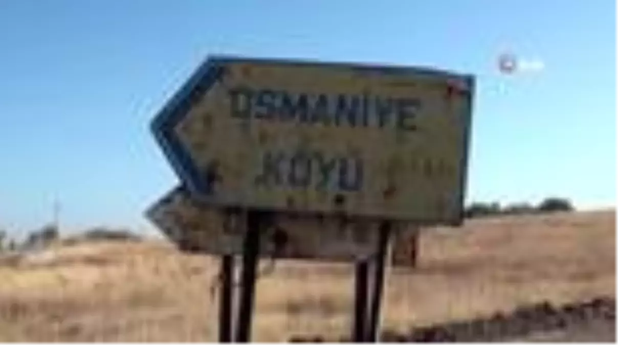 Yozgat'ta vurulduğu iddia edilen yakalı toy kuşunun ölüsü bulunamadı