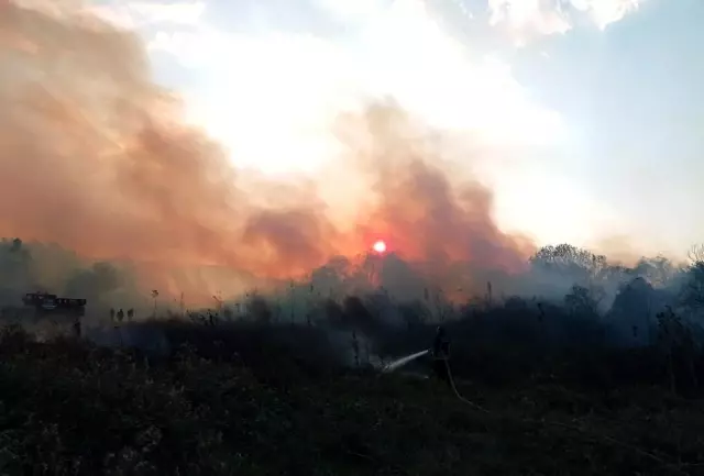 Son dakika Akyaka ve Köyceğiz�de sazlık yangını Haberler