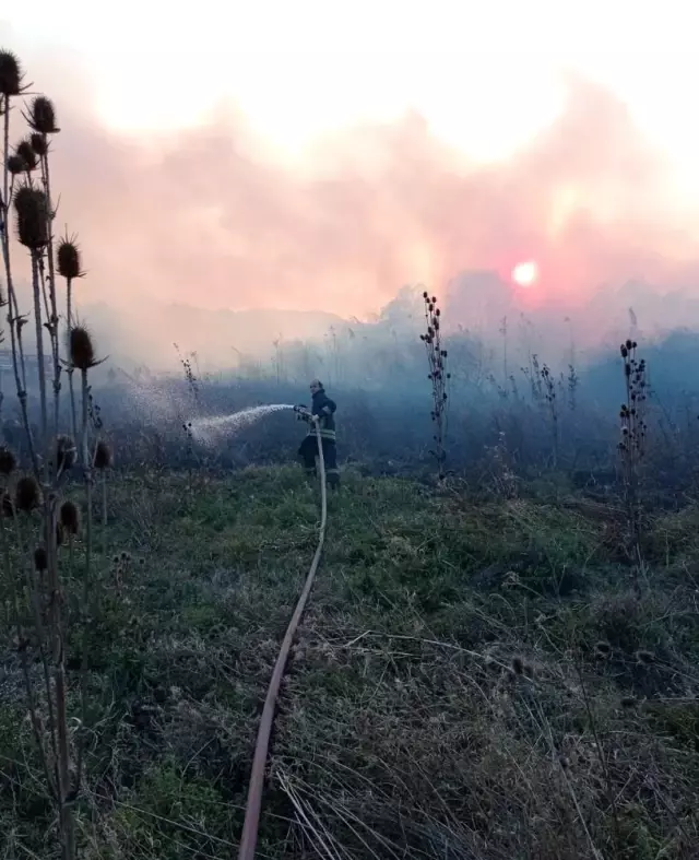 Son dakika Akyaka ve Köyceğiz�de sazlık yangını Haberler