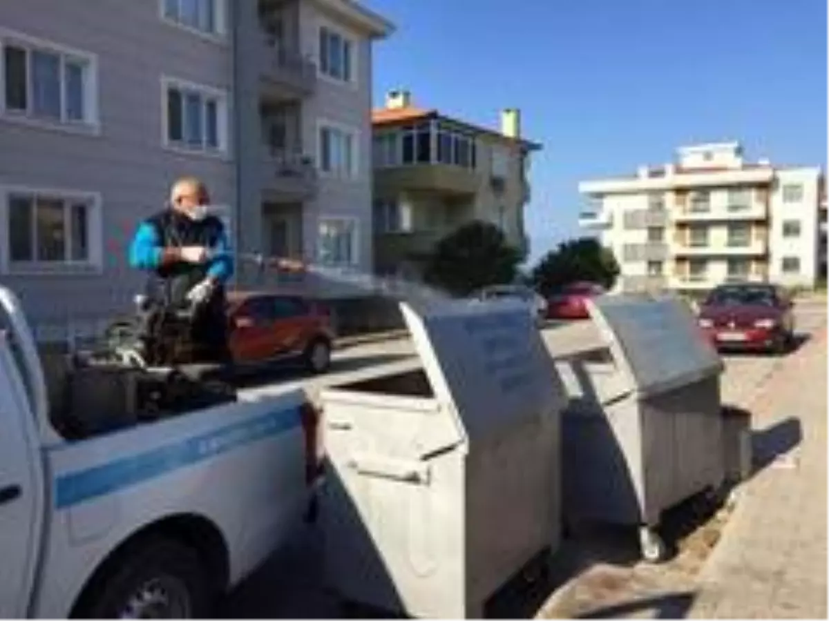 Ayvalık'ta çam ağaçları ve çöp konteynerleri ilaçlandı