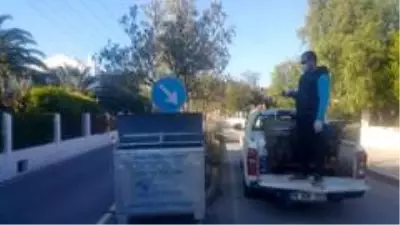 Ayvalık'ta çam ağaçları ve çöp konteynerleri ilaçlandı