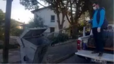 Ayvalık'ta çam ağaçları ve çöp konteynerleri ilaçlandı
