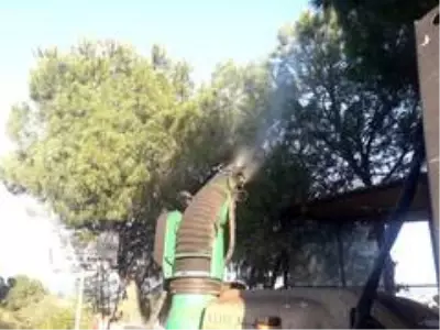 Ayvalık'ta çam ağaçları ve çöp konteynerleri ilaçlandı