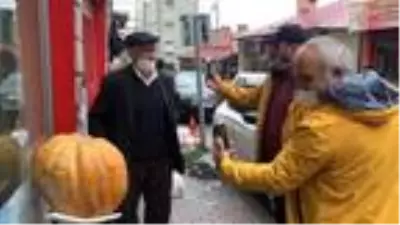 Dev kabak, kilosunu bilene hediye Dev kabak, kilosunu bilene hediye