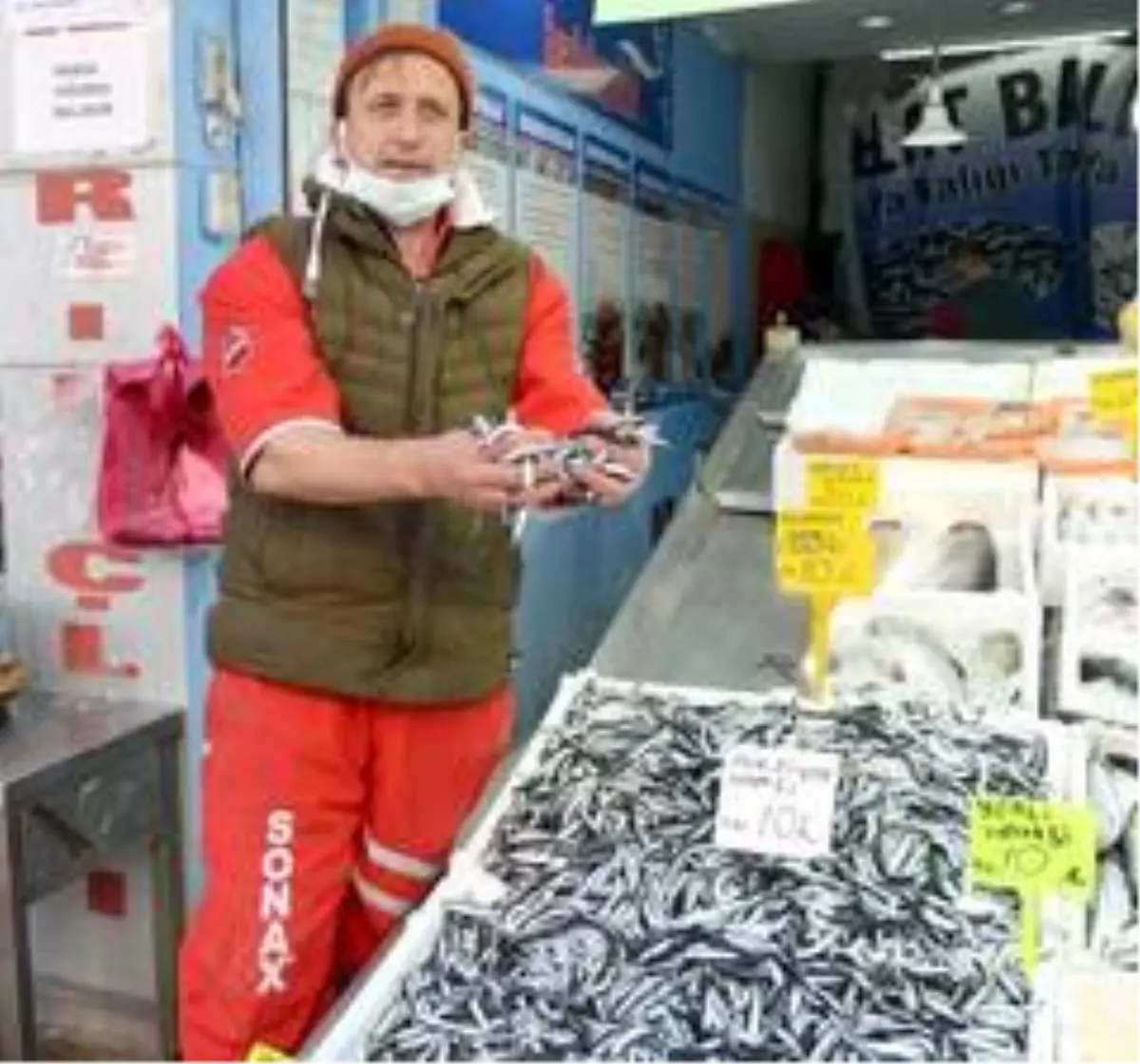 Fatsa'da yerli hamsi 10 TL