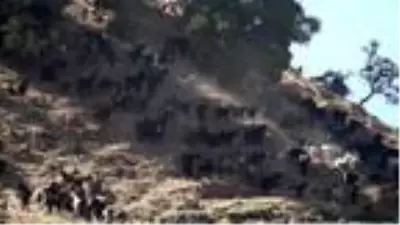 Hataylı çobanlar teleme yoğurdu geleneğini devam ettiriyor Hataylı çobanlar teleme yoğurdu geleneğini devam ettiriyor