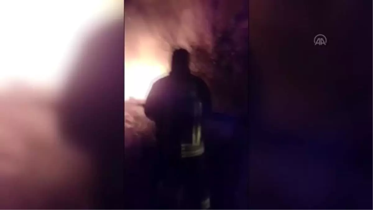 Koycegiz Golu Nun Sazlik Alaninda Yangin Haberler