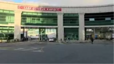 Tır sürücüleri Sarp Sınır Kapısı'ndaki yığılmalara kalıcı çözüm istiyor