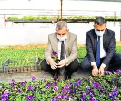 Yeşilyurt Belediye, kendi çiçeğini üretiyor Yeşilyurt Belediye, kendi çiçeğini üretiyor