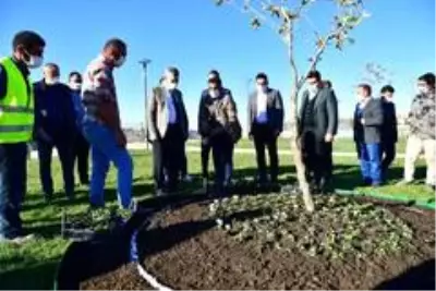 Yeşilyurt Belediye, kendi çiçeğini üretiyor Yeşilyurt Belediye, kendi çiçeğini üretiyor