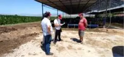 ADÜ Ziraat Fakültesi AR-GE, Sanayi İş Birliği ve Danışmanlık Hizmetleri ile ülke ekonomisine katkı sağlıyor ADÜ Ziraat Fakültesi AR-GE, Sanayi İş Birliği ve Danışmanlık Hizmetleri ile ülke ekonomisine katkı sağlıyor