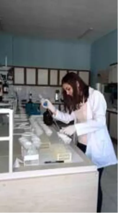 ADÜ Ziraat Fakültesi AR-GE, Sanayi İş Birliği ve Danışmanlık Hizmetleri ile ülke ekonomisine katkı sağlıyor ADÜ Ziraat Fakültesi AR-GE, Sanayi İş Birliği ve Danışmanlık Hizmetleri ile ülke ekonomisine katkı sağlıyor