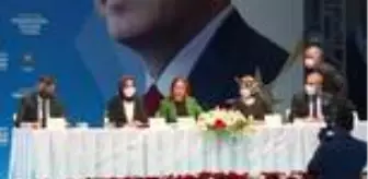 Emrullah İşler: AK Parti Yenimahalle İlçe Başkanlığına Abdülkadir Aydoğan yeniden seçildi Emrullah İşler: AK Parti Yenimahalle İlçe Başkanlığına Abdülkadir Aydoğan yeniden seçildi