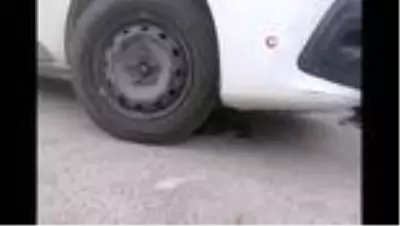 Son dakika haberleri: Ayağı araç motoruna sıkışan kedi kurtarıldı Son dakika haberleri: Ayağı araç motoruna sıkışan kedi kurtarıldı