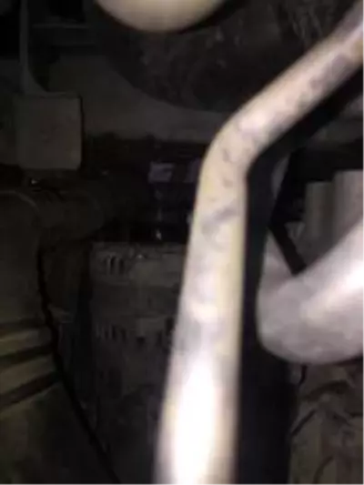 Son dakika haberleri: Ayağı araç motoruna sıkışan kedi kurtarıldı Son dakika haberleri: Ayağı araç motoruna sıkışan kedi kurtarıldı