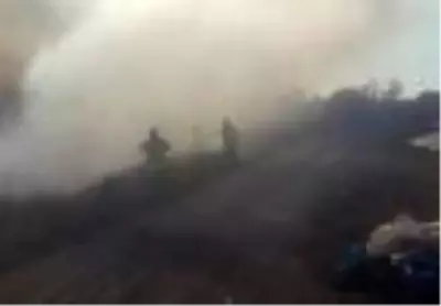 Ayvalık'ta sazlık alanda yangın Ayvalık'ta sazlık alanda yangın
