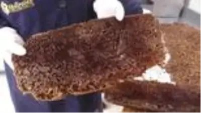 Bal peteklerinden üretilen 'arı ekmeği' talep görüyor Bal peteklerinden üretilen 'arı ekmeği' talep görüyor