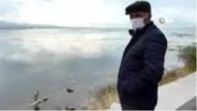Beyşehir Gölü'nü mesken tutan pelikan ilgi odağı oldu Beyşehir Gölü'nü mesken tutan pelikan ilgi odağı oldu