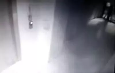 Çete hırsızlar güvenlik kamerasında...Çocuklar bisikleti, kadınlar ayakkabıları çaldı Çete hırsızlar güvenlik kamerasında...Çocuklar bisikleti, kadınlar ayakkabıları çaldı