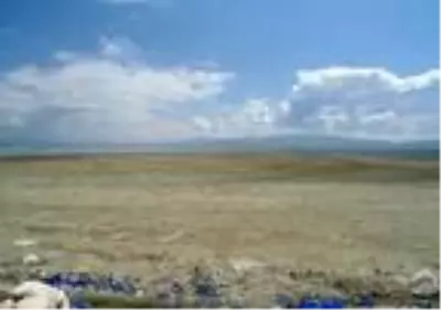 Son dakika... Dünyada sadece Burdur Gölü'nde, tamamen yok olmak üzere