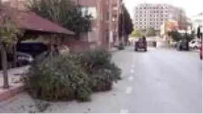 İki yayanın otomobilin altında kalmaktan son anda kurtulması güvenlik kamerasında İki yayanın otomobilin altında kalmaktan son anda kurtulması güvenlik kamerasında