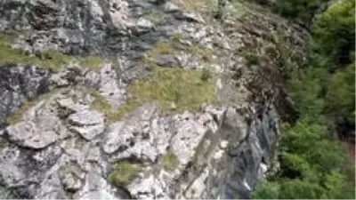 Keçilerin zirveye yolculuğu Keçilerin zirveye yolculuğu