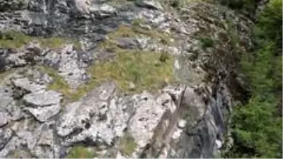 Keçilerin zirveye yolculuğu Keçilerin zirveye yolculuğu