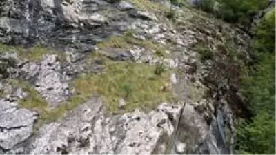 Keçilerin zirveye yolculuğu Keçilerin zirveye yolculuğu