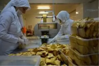 Kestane hasadı bitti, şeker üretimi başladı Kestane hasadı bitti, şeker üretimi başladı