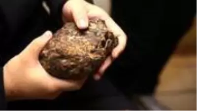 Köylülerin çıra zannedip yaktığı Bayburt Kehribarı'na Çin'den talep geldi Köylülerin çıra zannedip yaktığı Bayburt Kehribarı'na Çin'den talep geldi