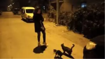 Ortaokul öğrencisinden örnek davranış...Biriktirdiği harçlıklarıyla sokak hayvanlarına mama alıyor Ortaokul öğrencisinden örnek davranış...Biriktirdiği harçlıklarıyla sokak hayvanlarına mama alıyor