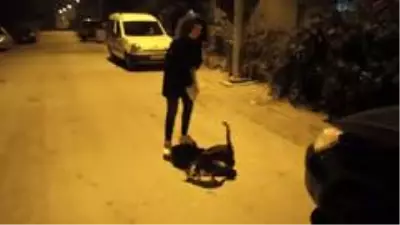 Ortaokul öğrencisinden örnek davranış...Biriktirdiği harçlıklarıyla sokak hayvanlarına mama alıyor Ortaokul öğrencisinden örnek davranış...Biriktirdiği harçlıklarıyla sokak hayvanlarına mama alıyor