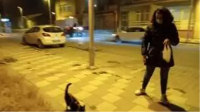 Ortaokul öğrencisinden örnek davranış...Biriktirdiği harçlıklarıyla sokak hayvanlarına mama alıyor Ortaokul öğrencisinden örnek davranış...Biriktirdiği harçlıklarıyla sokak hayvanlarına mama alıyor