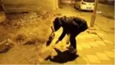 Ortaokul öğrencisinden örnek davranış...Biriktirdiği harçlıklarıyla sokak hayvanlarına mama alıyor Ortaokul öğrencisinden örnek davranış...Biriktirdiği harçlıklarıyla sokak hayvanlarına mama alıyor
