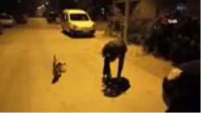 Ortaokul öğrencisinden örnek davranış...Biriktirdiği harçlıklarıyla sokak hayvanlarına mama alıyor Ortaokul öğrencisinden örnek davranış...Biriktirdiği harçlıklarıyla sokak hayvanlarına mama alıyor