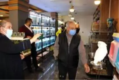 Otomobil fiyatına papağan