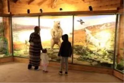Yenice ormanlarının yaban hayatını müzede keşfediyorlar Yenice ormanlarının yaban hayatını müzede keşfediyorlar