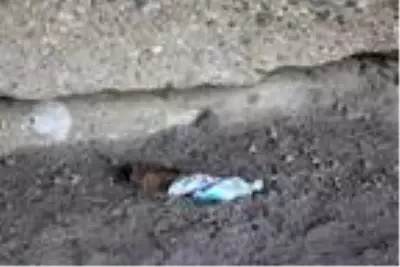 60 bin yıllık mağaranın duvarları yazı tahtasına döndü 60 bin yıllık mağaranın duvarları yazı tahtasına döndü
