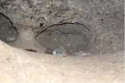 60 bin yıllık mağaranın duvarları yazı tahtasına döndü 60 bin yıllık mağaranın duvarları yazı tahtasına döndü